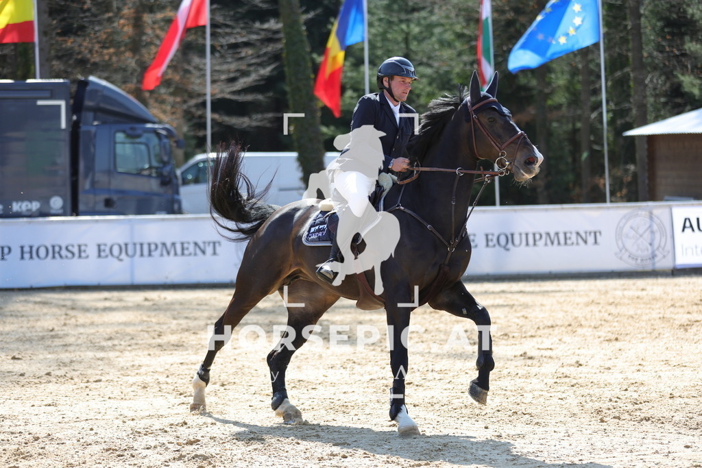 0P6A1537 | Willkommen bei Brunnmayr - Design & Fotografie – Ihrem Spezialisten für Reitturniere und Pferdeveranstaltungen in Oberösterreich, Salzburg und Bayern! Seit über 17 Jahren sind wir leidenschaftlich dabei.