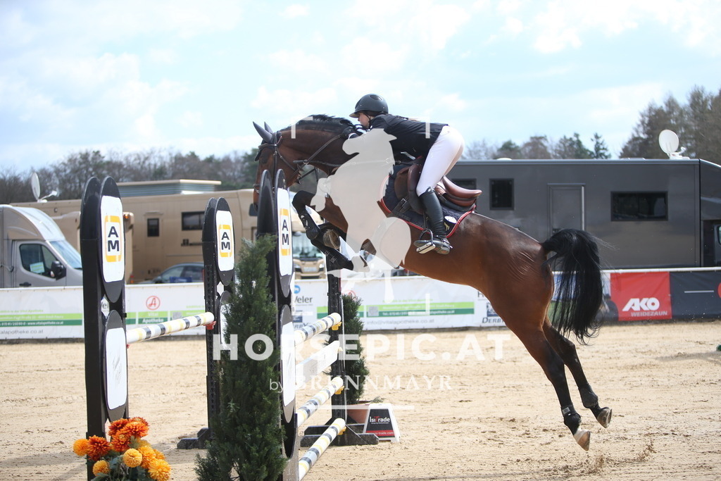 AS8V6696 | Willkommen bei Brunnmayr - Design & Fotografie – Ihrem Spezialisten für Reitturniere und Pferdeveranstaltungen in Oberösterreich, Salzburg und Bayern! Seit über 17 Jahren sind wir leidenschaftlich dabei.