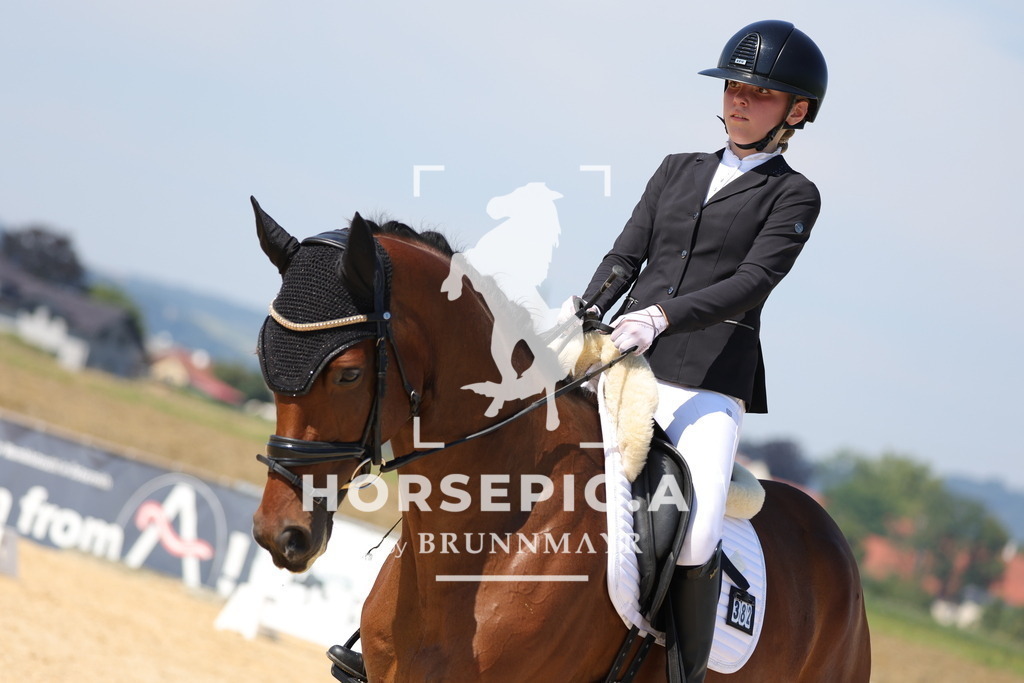 Alschibaja | Willkommen bei Brunnmayr - Design & Fotografie – Ihrem Spezialisten für Reitturniere und Pferdeveranstaltungen in Oberösterreich, Salzburg und Bayern! Seit über 17 Jahren sind wir leidenschaftlich dabei.