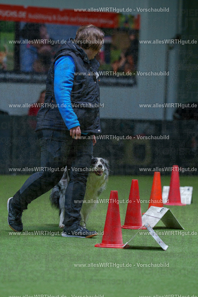 7R506280 | Professionelle Tierfotografie in Mönchengladbach von Daniel Wirth (allesWIRTHgut). Liebevolle & natürliche Bilder von Hunden & Katzen für unvergessliche Erinnerungen.