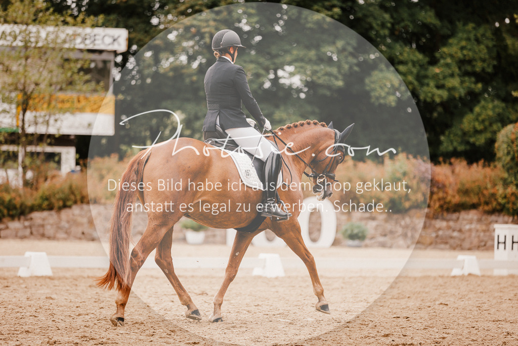 3I6A5932 | Stimmungsvolle Portraits und Reitsportfotografie im Ruhrgebiet und im Münsterland.

Pferdefotografie, Hundefotografie, Tierfotografie, Reportagen, Portraits von Tier und Mensch, Turnierfotografie in Bochum, Recklinghausen, Marl, Haltern am See, Dülmen.. - Realisiert mit Pictrs.com