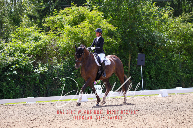 DKP40952 | Turnierfotos kaufen im Webshop von Daniel Kuhl Photography – entdecke professionelle Reitsportfotos aus Turnieren & Events. Hochwertige Turnierbilder online bestellen & sichern. Jetzt Fotos von Reitsportturnieren kaufen!