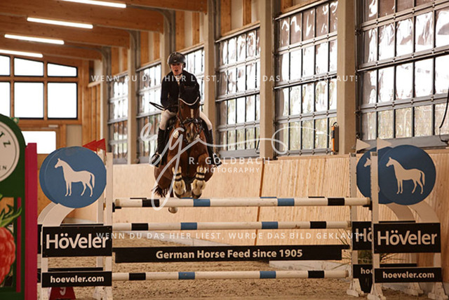 1J2A7898Francie Siegmund_ Heidi 682_ Kn277_ Glantz_ Hohen Wieschendorf | Foto- und Videografie für alles rund ums Pferd. Hochwertige Bilder und Videos vom Spring- und Dressurreiten, Voltigieren & mehr. Jetzt aktuelle Veranstaltungen und Preise im Shop ansehen. - Realisiert mit Pictrs.com