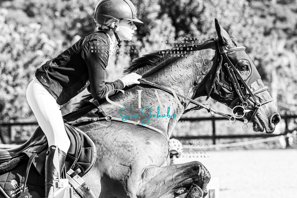 IMG_0649-Verbessert-RR | s-jay-photography - Realisiert mit Pictrs.com