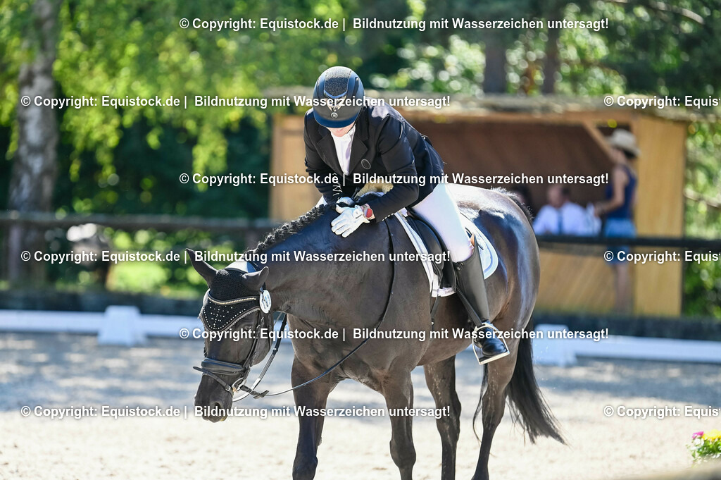 20230908_06_Dressur-L-Trense_0730 | equistock