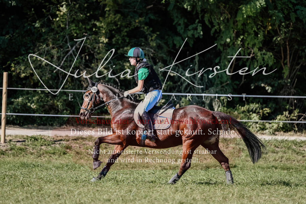 DSC_3625 | Pferde- und Turnierfotografie in Westsachsen. Pferdeportraits, Auftragszeichnungen und intuitive Kunst.