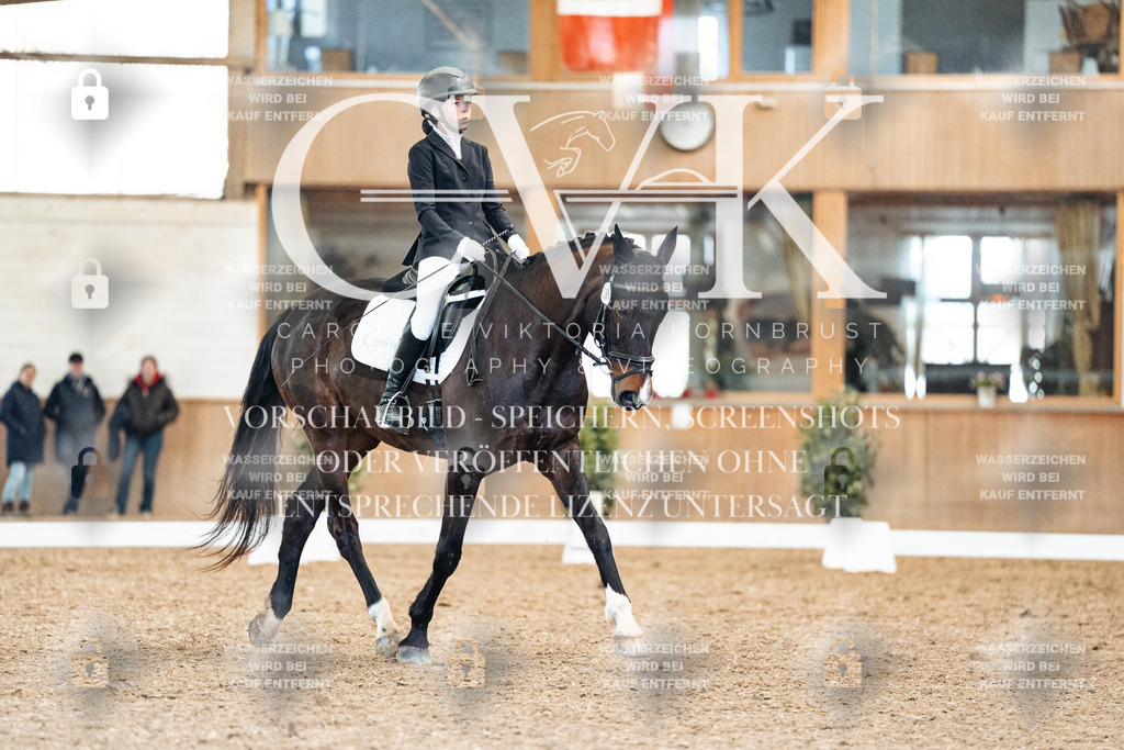 CK909874 | Turnierfotografie Pferdefotografie Trier Rheinland-Pfalz Pferdesport Reitsport Tierfotografie Sportfotografie Pferdevideo Pferdevideografie Equestrianvideography equestrianphotography  - Realized with Pictrs.com