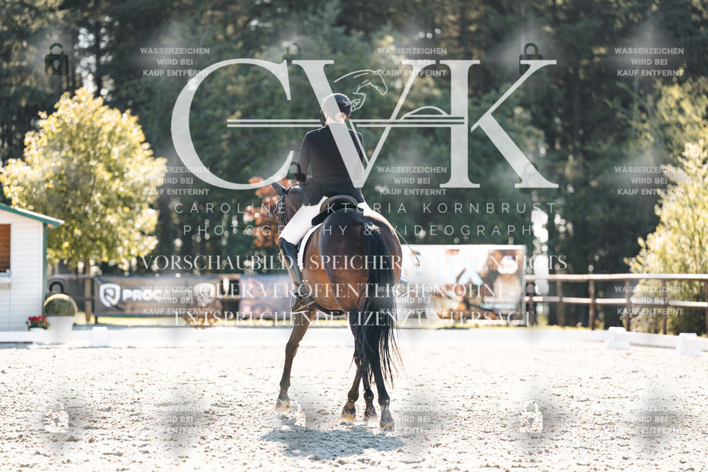 CK906343 | Turnierfotografie Pferdefotografie Trier Rheinland-Pfalz Pferdesport Reitsport Tierfotografie Sportfotografie Pferdevideo Pferdevideografie Equestrianvideography equestrianphotography  - Realisiert mit Pictrs.com