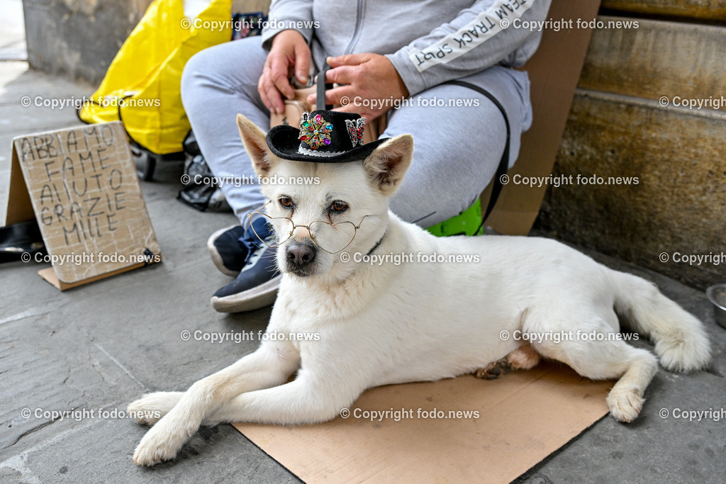 Italien_ Toscana_ Florenz_ 30.05.2024-135 | 30.05.2024, Italien, ITA, Toskana, Florenz im Bild Stadtansichten, Gebäude, Architektur, Touristen, Historisch, Souvenir, Altstadt, Museum, Statuen, Skulpturen, Piazza della Signoria, Statue David, Palazzo Vecchio, Neptunbrunnen, Piazza della Repubblica, Ponte Vecchio, Brücke, Uffizien, Kathedrale Santa Maria del Fiore, Arno, Fluß


Florenz, Firenze, ist eine italienische Großstadt. Nach Einwohnern ist sie die achtgrößte Stadt Italiens. Florenz ist die Hauptstadt sowie größte Stadt der Region Toskana und der Metropolitanstadt Florenz, in der etwa eine Million Menschen leben. Florenz ist für seine Geschichte berühmt. Leonardo da Vinci verbrachte große Teile seiner Jugend in Florenz, Michelangelo fand Unterschlupf in der Kirche der Medici, Galileo Galilei wohnte als Hofmathematiker in den Palästen der Medici. Von 1865 bis 1871 war die Stadt die Hauptstadt des neu gegründeten Königreichs Italien. Das historische Zentrum von Florenz zieht Jahr für Jahr Millionen von Touristen an. Die historische Innenstadt wurde von der UNESCO im Jahre 1982 zum Weltkulturerbe erklärt. 
Quelle: Wikipedia
