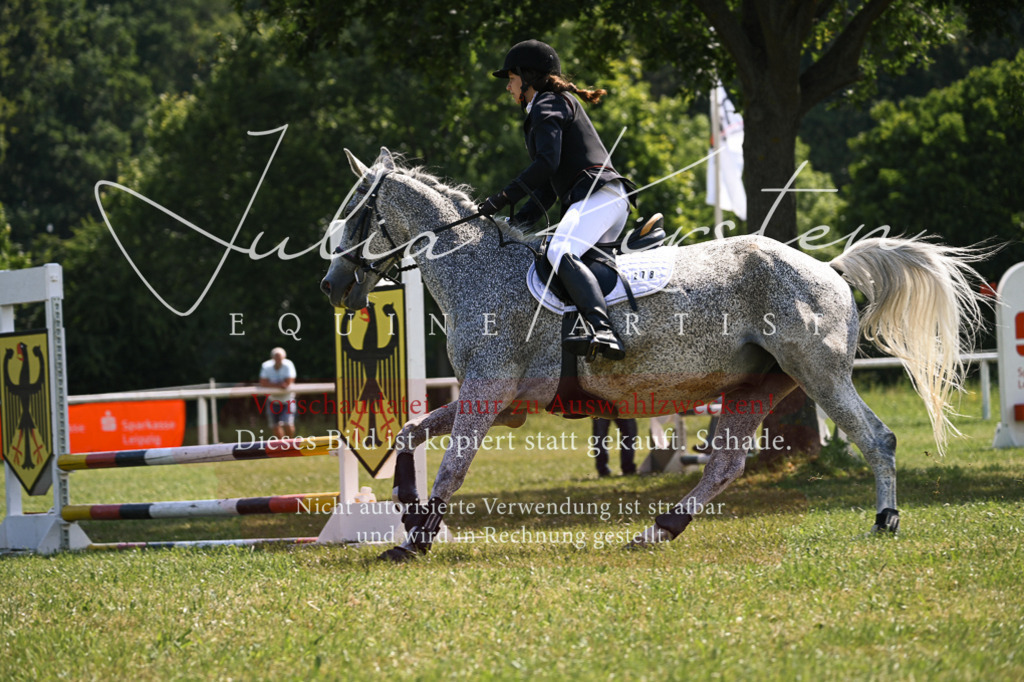 DSC_8989 | Pferde- und Turnierfotografie in Westsachsen. Pferdeportraits, Auftragszeichnungen und intuitive Kunst.