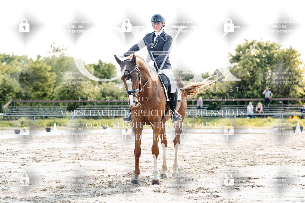 CK909366 | Turnierfotografie Pferdefotografie Trier Rheinland-Pfalz Pferdesport Reitsport Tierfotografie Sportfotografie Pferdevideo Pferdevideografie Equestrianvideography equestrianphotography  - Realisiert mit Pictrs.com