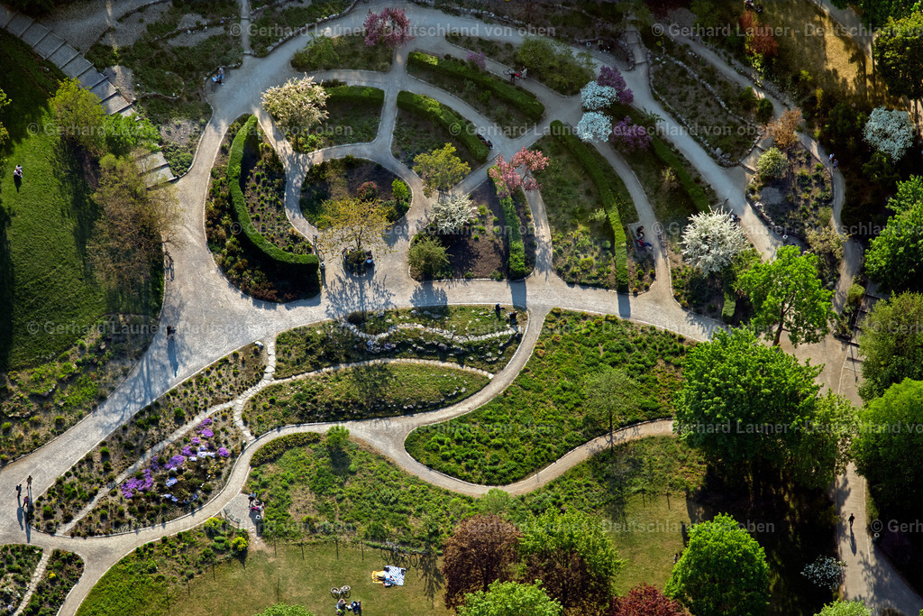 4025374 | Rosengarten im Westpark, München