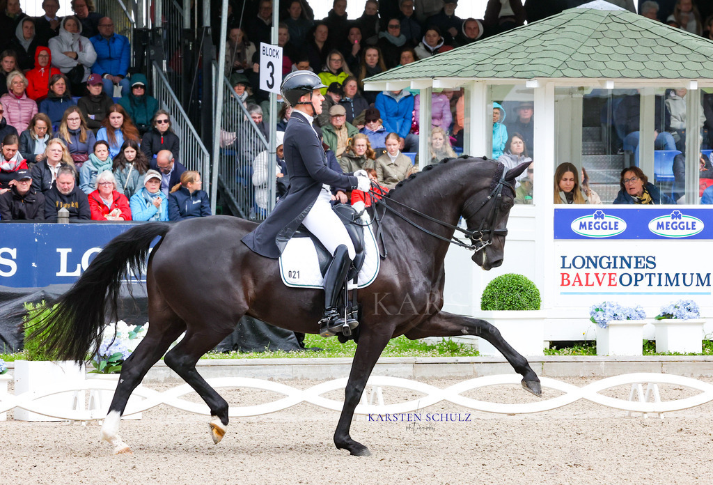 1B3A7368 | Reitsport Reiten