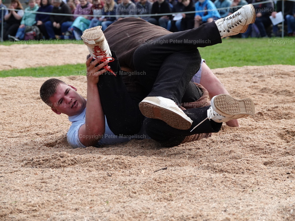 DSC07033 | Schwingen - Realisiert mit Pictrs.com