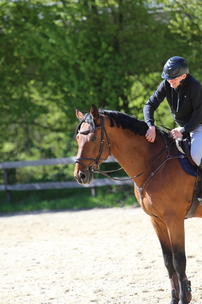 DL2Q3124 | Willkommen bei Brunnmayr - Design & Fotografie – Ihrem Spezialisten für Reitturniere und Pferdeveranstaltungen in Oberösterreich, Salzburg und Bayern! Seit über 17 Jahren sind wir leidenschaftlich dabei.