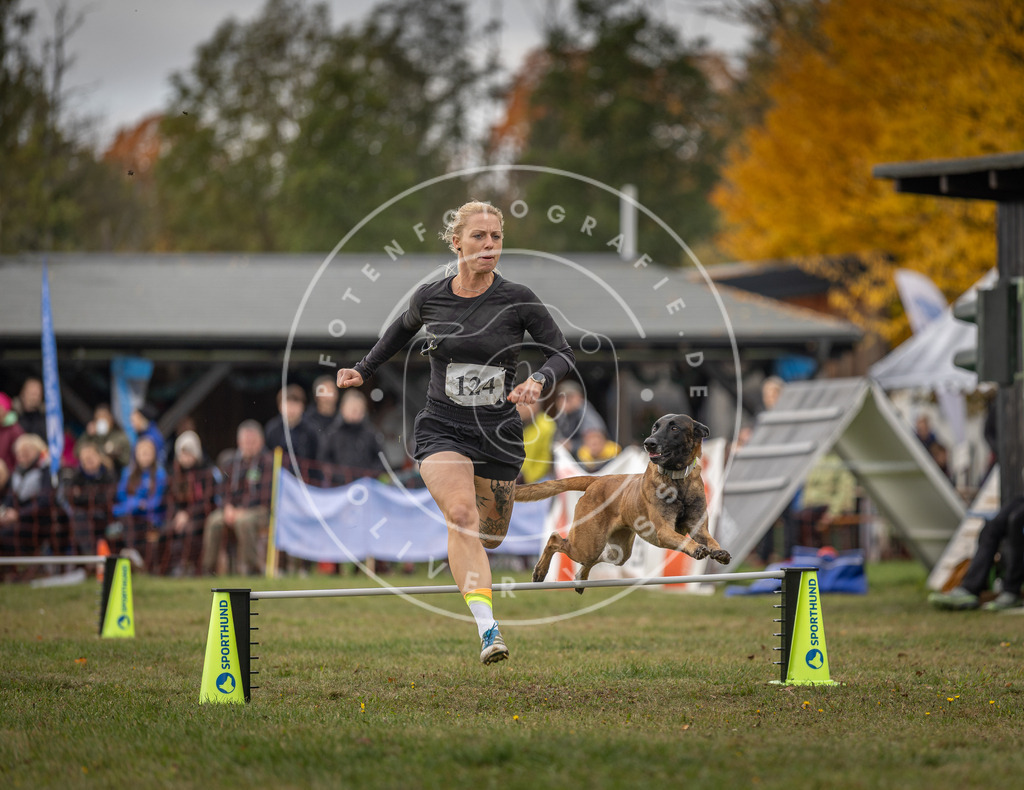 Pfotenfotografie_DV3A6746 | Hundefotografie, Tierfotograf, Pfotenfotografie, Fotoshooting Hund, Hunde Portrait, Hundesport, Hundeportraits, Heideshooting, Hunde, Sportfotograf, Hundefotograf, Turnierhundsport, THS,  - Realisiert mit Pictrs.com