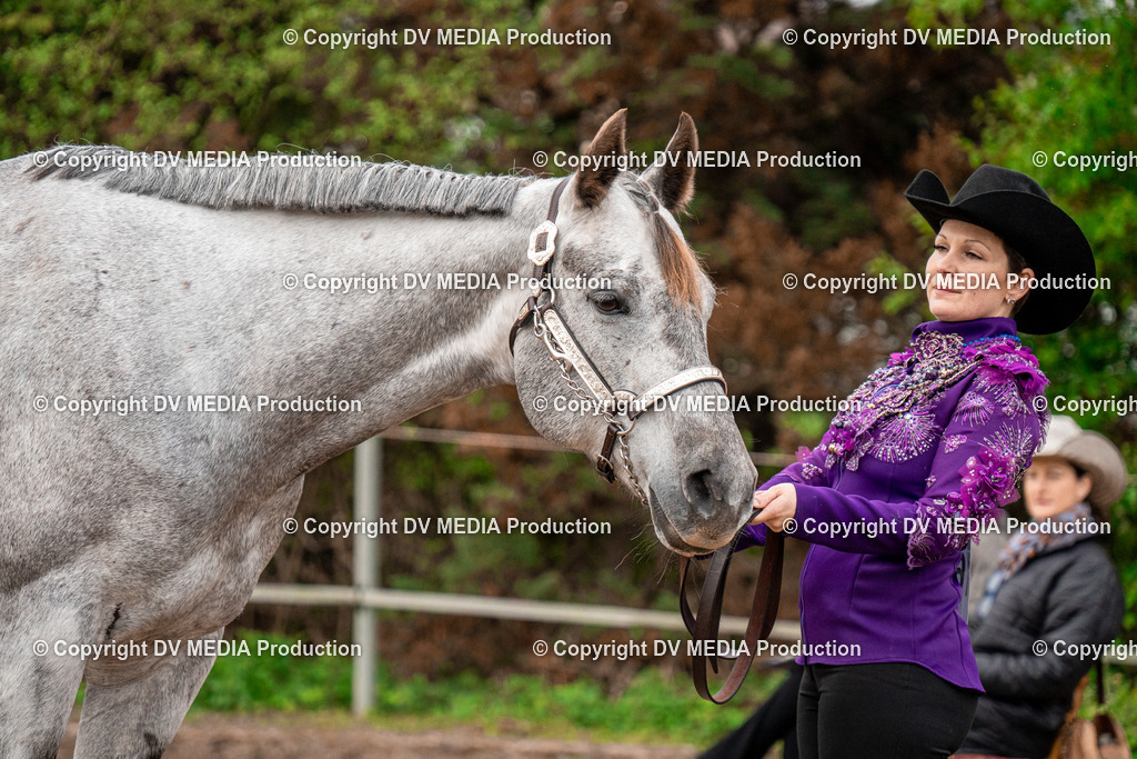 BA300092 | dv-media-shop - Realisiert mit Pictrs.com