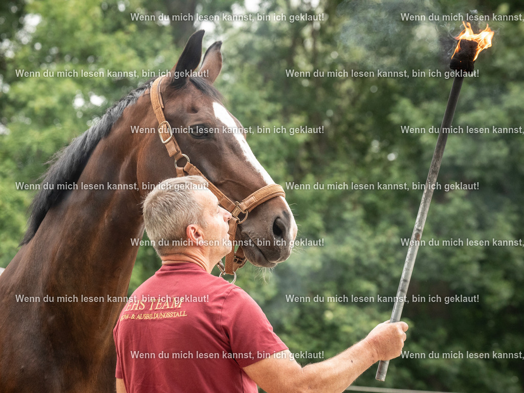 598A7554 | photographylinaismer - Realisiert mit Pictrs.com