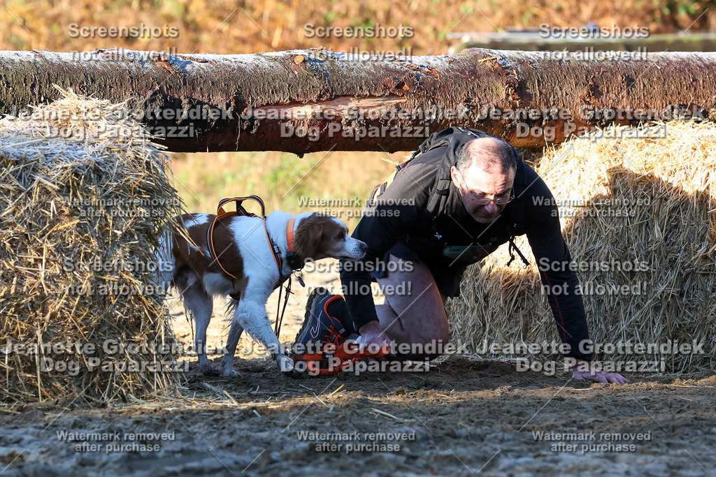 Dog Paparazzi - Strongdog 10-25-734 | Dog Paparazzi Jeanette Grottendiek Fotografie & Videografie - Realisiert mit Pictrs.com