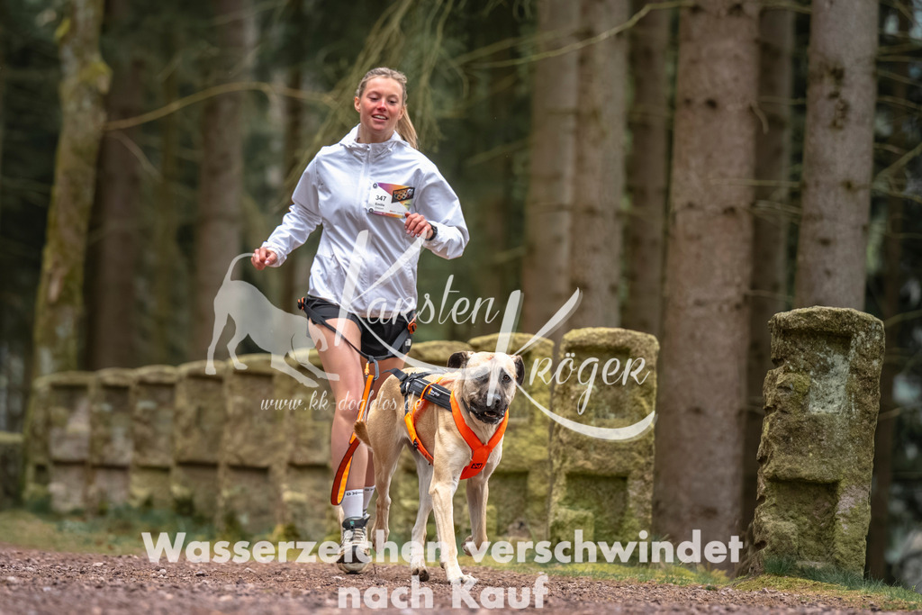 0807DZ6_2935 | kk-dogfotos