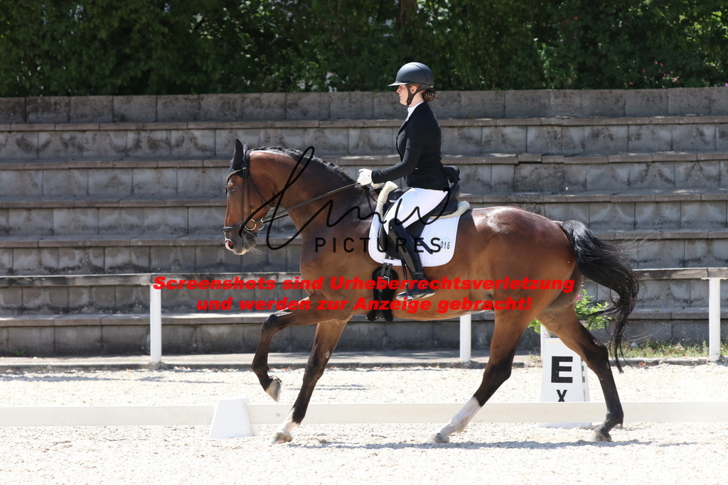 IMG_4903 | lmwpictures - Realisiert mit Pictrs.com