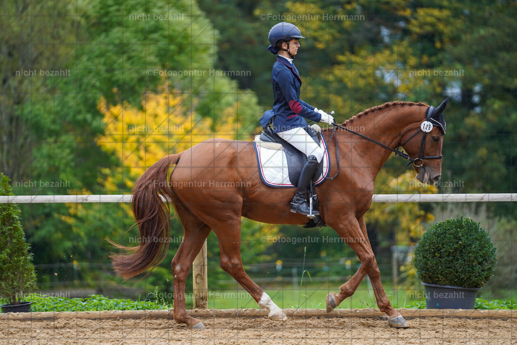 20221008-FAH01943 | Diessen am Ammersee, 2022, Dressur- und Springturnier, Reitsportbilder, Turnierfotografen Bayern, Pferdefotografen, Fotoagentur Herrmann, Turnierbilder