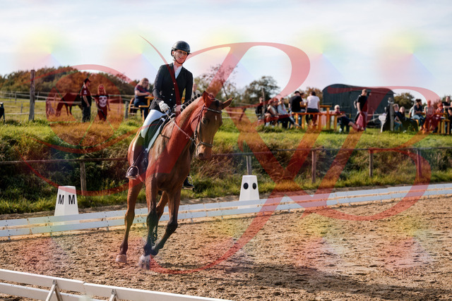 2026_10_03_Siefer-Hof_131054_Z63_74509706 | Professionelle Reitsport-, Turnier- und Eventfotografie von Robert Broda. Galerien mit ausgewählten und bearbeiteten Bildern direkt online ansehen und bestellen.