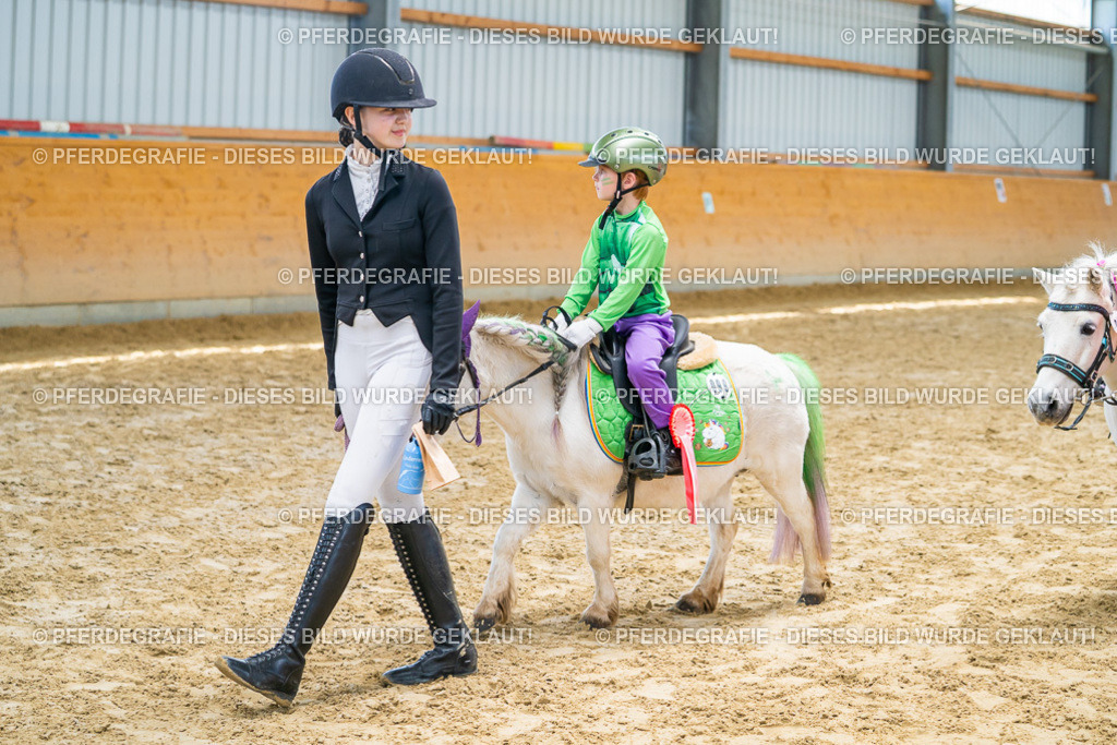 DSC00343 | Pferdegrafie