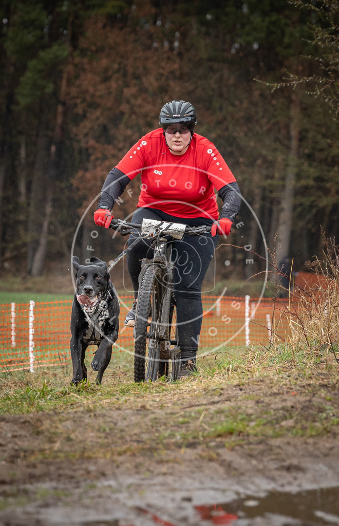 0L8A8863 | Hundefotografie, Tierfotograf, Pfotenfotografie, Fotoshooting Hund, Hunde Portrait, Hundesport, Hundeportraits, Heideshooting, Hunde, Sportfotograf, Hundefotograf, Turnierhundsport, THS,  - Realisiert mit Pictrs.com