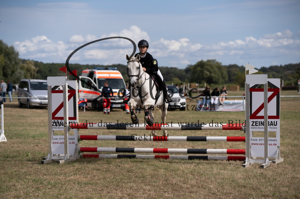 A7V08788 | Pferdefotograf