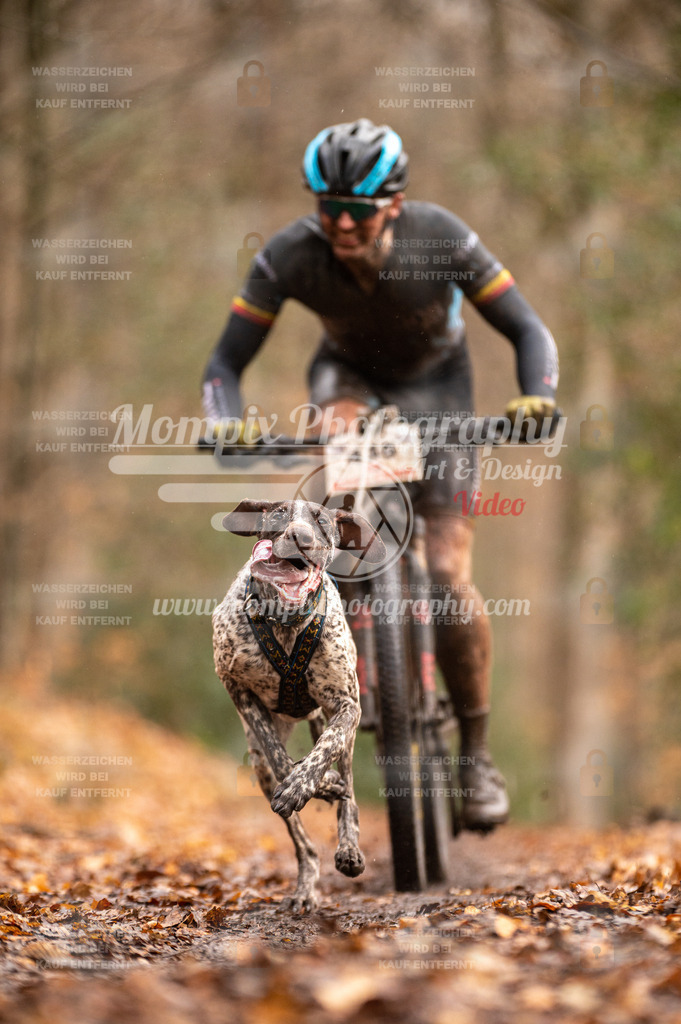 SPA_2023_DIM_Bike-4 | PayLife