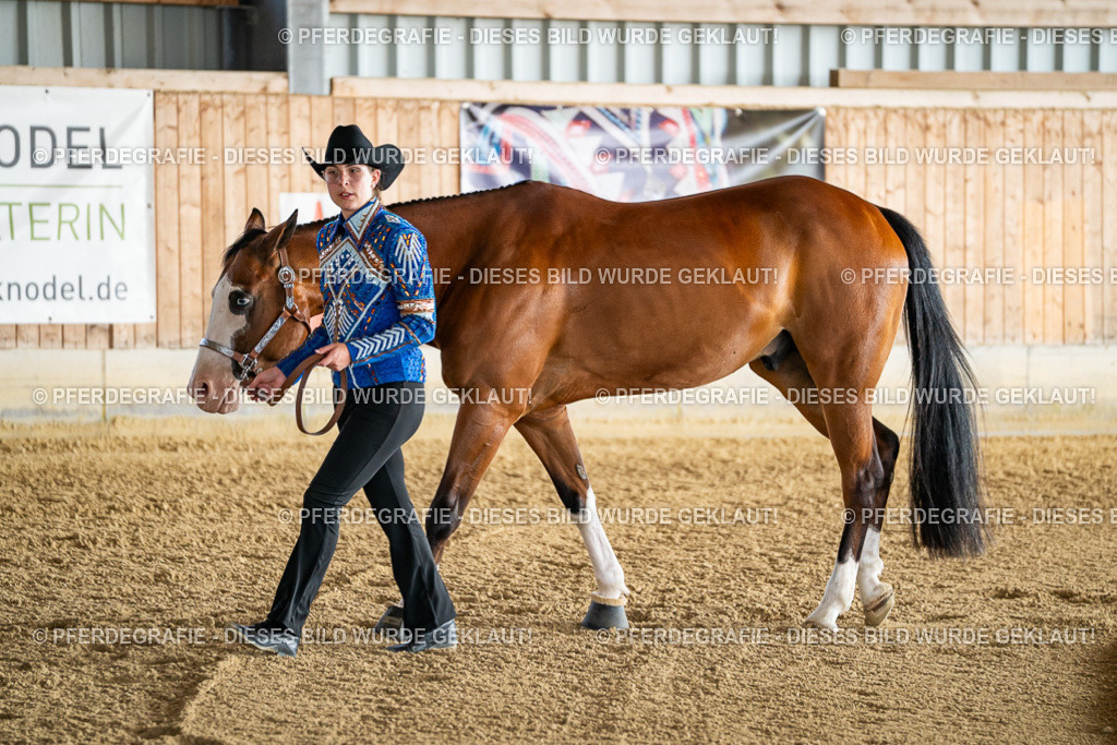 DSC07618 | Pferdegrafie