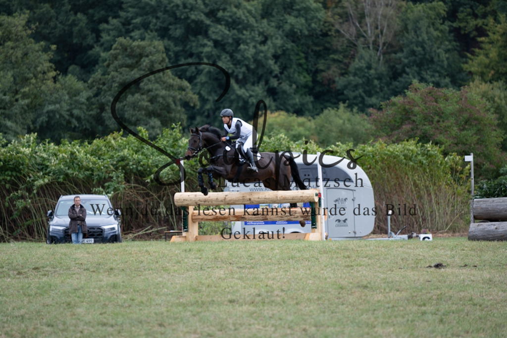 A7V00704 | Pferdefotograf