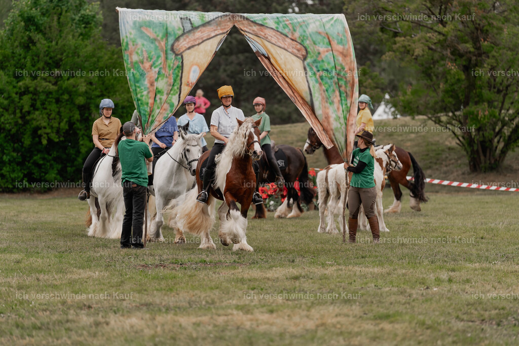 Showprogramm-404 | working equitationturnier fotograf videograf stoibphotography marixx film working equitation deutschland reitsport turnierfotografie eventfotografie equestrian events