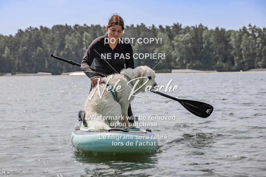 BUHU_SUP_693 | nelerasche