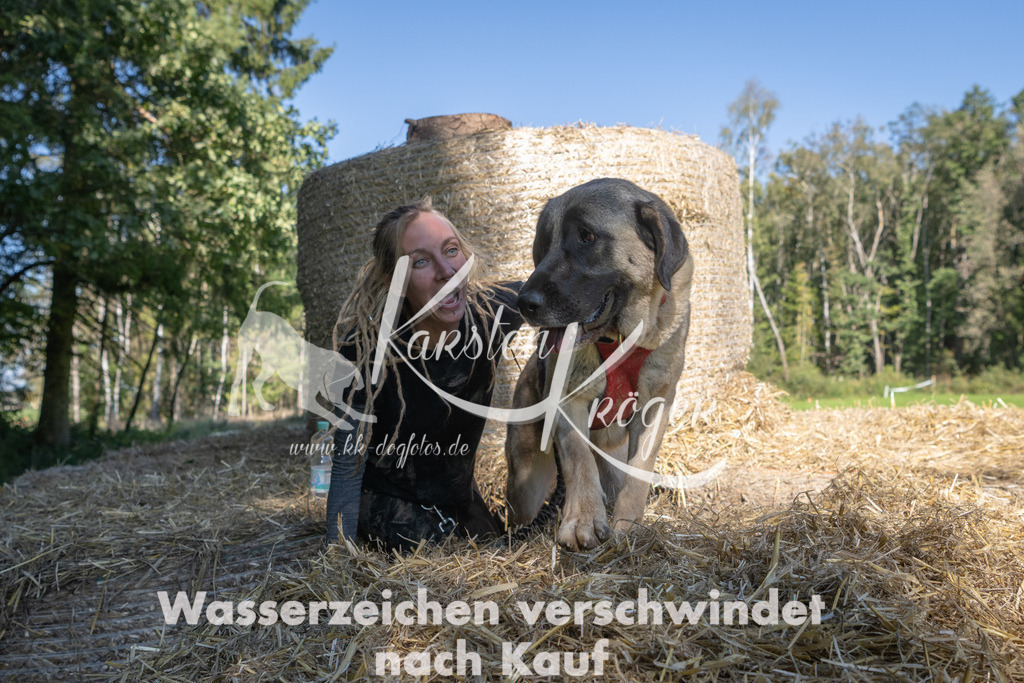 1419_ZZ92965-3 | kk-dogfotos