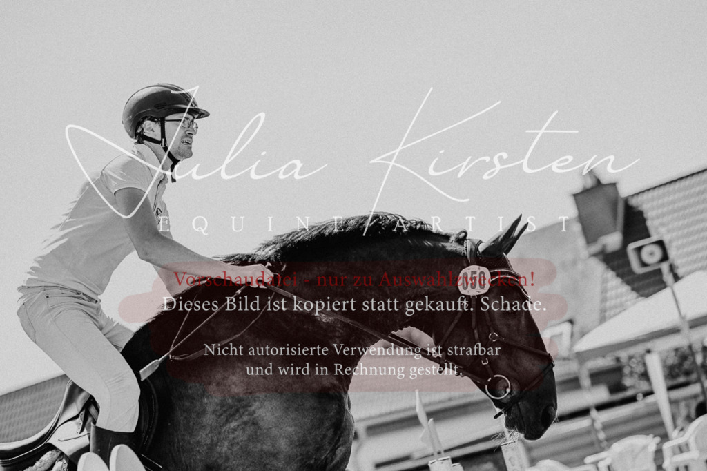 DSC_1233 | Pferde- und Turnierfotografie in Westsachsen. Pferdeportraits, Auftragszeichnungen und intuitive Kunst.