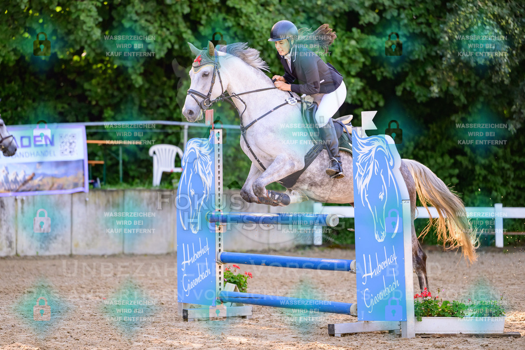 30082026-Giesenbach-Prfg16-0084 | Fokus Hufschlag Fotografie - Realisiert mit Pictrs.com