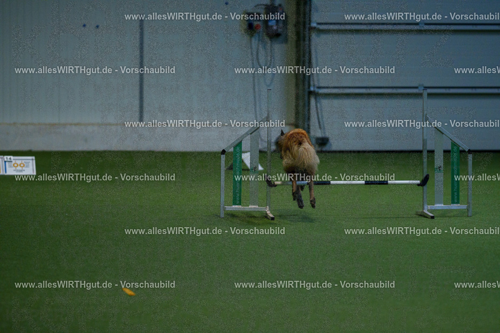 7R502575 | Professionelle Tierfotografie in Mönchengladbach von Daniel Wirth (allesWIRTHgut). Liebevolle & natürliche Bilder von Hunden & Katzen für unvergessliche Erinnerungen.