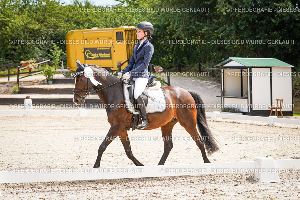 DSC02676 | Pferdegrafie