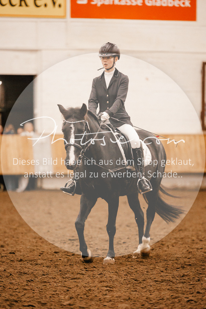 3I6A3940 | Stimmungsvolle Portraits und Reitsportfotografie im Ruhrgebiet und im Münsterland.

Pferdefotografie, Hundefotografie, Tierfotografie, Reportagen, Portraits von Tier und Mensch, Turnierfotografie in Bochum, Recklinghausen, Marl, Haltern am See, Dülmen.. - Realisiert mit Pictrs.com