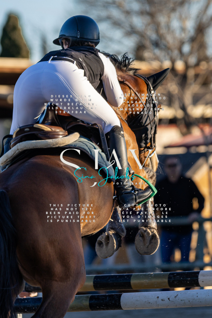 IMG_2846 | s-jay-photography - Realisiert mit Pictrs.com