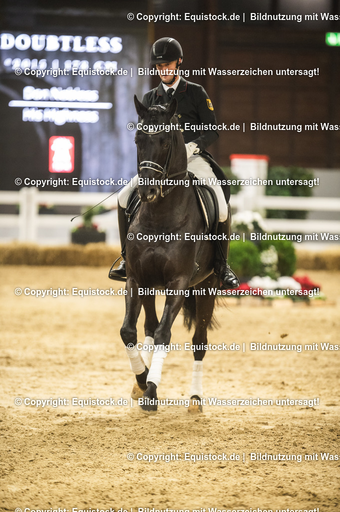 20240302_Hengstvorstellung_Marbach_TOMsPiC_1528 | equistock