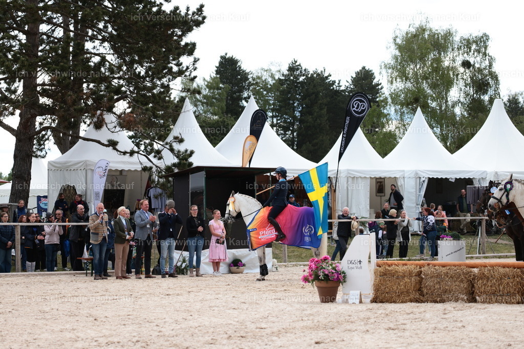 PI26_ST_StoibphotographyC2_L9289.JPG | working equitationturnier fotograf videograf stoibphotography marixx film working equitation deutschland reitsport turnierfotografie eventfotografie equestrian events