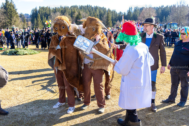 Bärentreiben in Steuerberg | Bildershop von pixelworld.at - Realisiert mit Pictrs.com