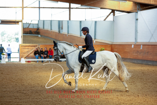 _62_7228 | Turniersportfotografie; Pferdefotografie; Dressurfotografie