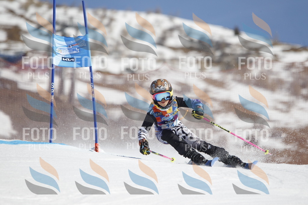 _U3G8724 | holidayphoto