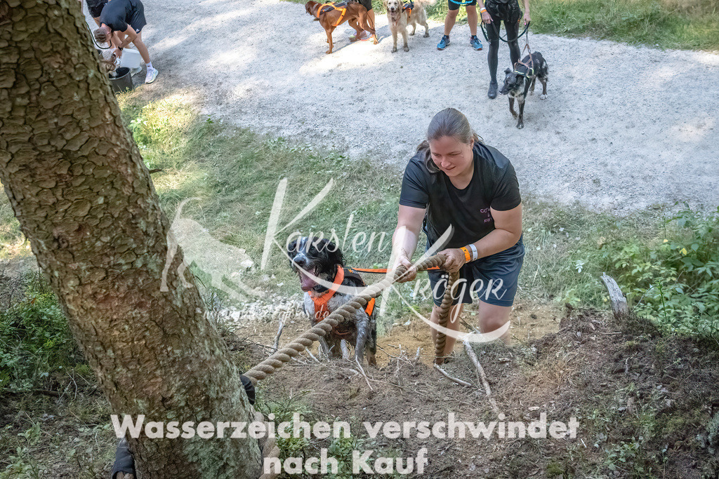 1154_ZZ92420 | kk-dogfotos