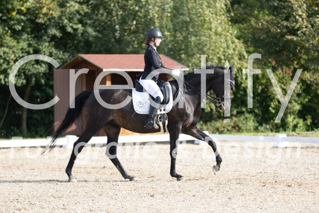 IMG_2193 | Creatify Fotografie