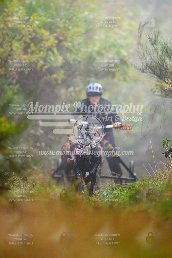 MompixPhotography_20TSB_E4_Kart-15 | PayLife